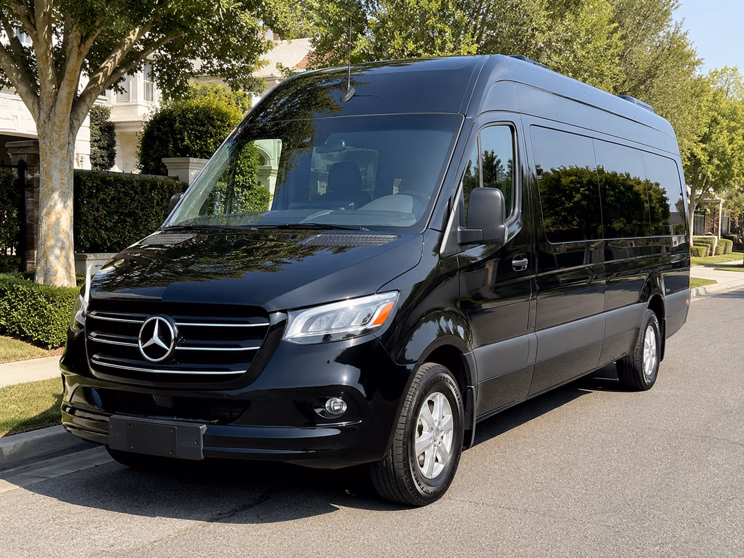brooklyn park sprinter van with driver